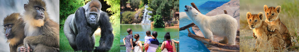 tiere des zoos fasano